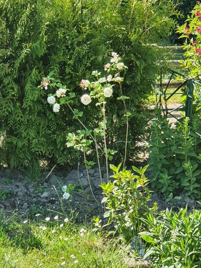 Rekerlanden 177 Vakantiewoning Nabij Strand Warmenhuizen Eksteriør bilde